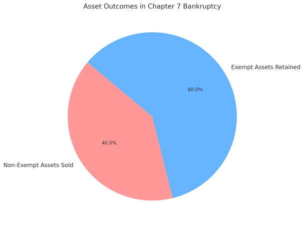 Asset Outcomes in Chapter 7 Bankruptcy